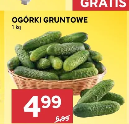 Ogórki gruntowe promocja w Stokrotka