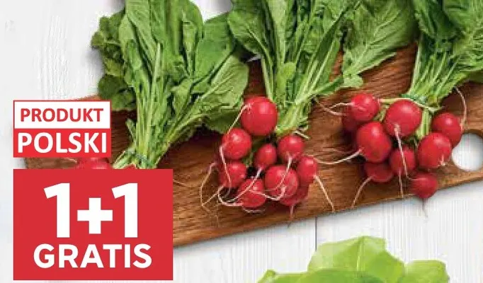 Rzodkiewka promocja w Stokrotka