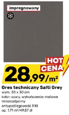 Gres techniczny Salti Grey promocja w Bricomarche