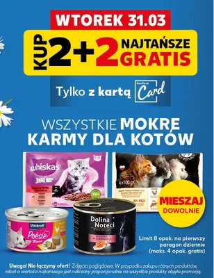 Wszystkie mokre karmy dla kotów promocja w Kaufland