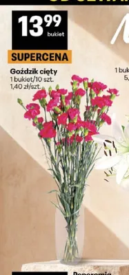 Goździk cięty 10-pak promocja w Delikatesy Centrum
