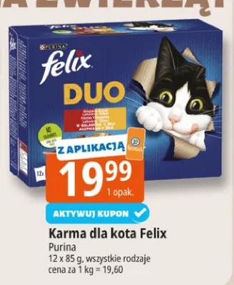 Karma dla kota promocja w Leclerc