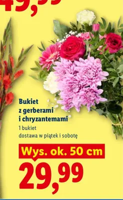 Bukiet z gerberami i chryzantemami promocja w Lidl