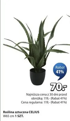 Roślina sztuczna promocja w Jysk