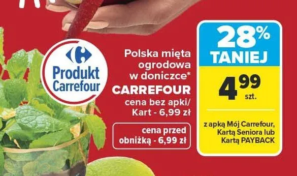 Mięta ogrodowa w doniczce Carrefour promocja w Carrefour Market