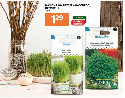 Nasiona owsu wielkanocnego, rzeżuchy promocja w Stokrotka