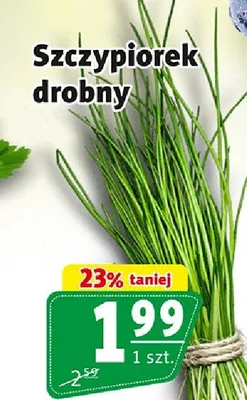 Szczypiorek drobny promocja w Prim Market