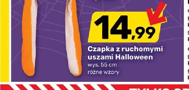 Czapka z ruchomymi uszami Halloween promocja w Bricomarche