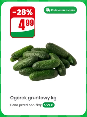 Ogórek gruntowy promocja w Dino