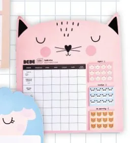 Planner szkolny z karteczkami i naklejkami BEBE promocja w Biedronka
