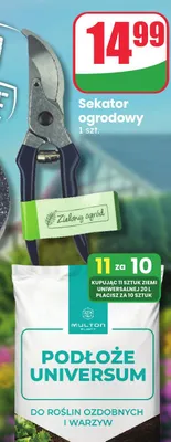 Sekator ogrodowy Zielony ogród promocja w Dino