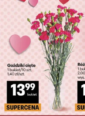 Goździki cięte promocja w Delikatesy Centrum