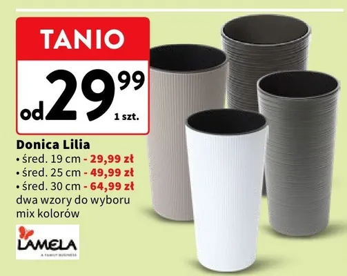 Donica Lilia śred. 19 cm promocja w Intermarche