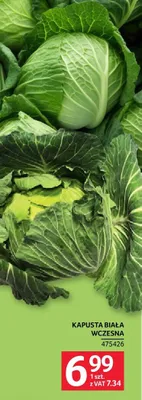Kapusta biała wczesna promocja w Selgros