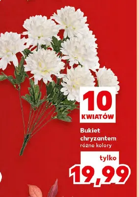 Bukiet chryzantem promocja w Kaufland