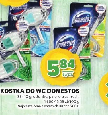 Kostka do wc leśna Tytan promocja w Stokrotka