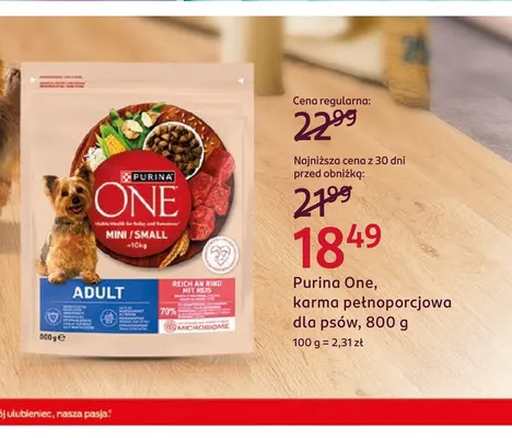 Karma pełnoporcjowa dla psów Purina One Adult promocja w Rossmann