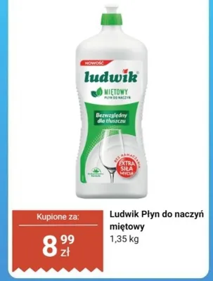 Płyn do naczyń miętowy promocja w Dino