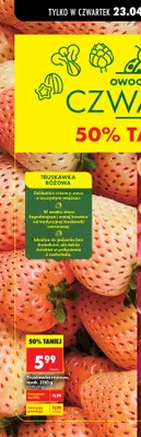 Truskawka różowa  promocja w Biedronka