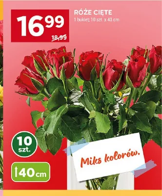 Róże cięte 40cm promocja w Stokrotka