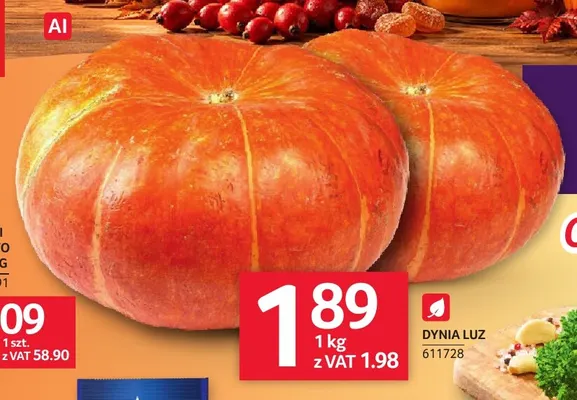Dynia luzem promocja w Selgros