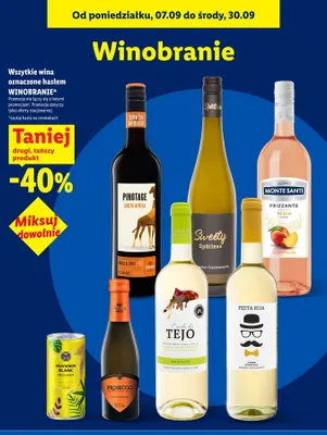 Wino musujące Sauvignon Blanc Frizzante Allini promocja w Lidl