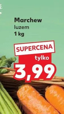 Marchew luzem promocja w Kaufland
