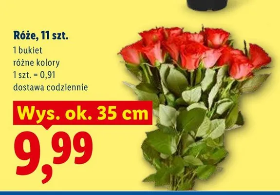Róże bukiet różne kolory Lidl promocja w Lidl