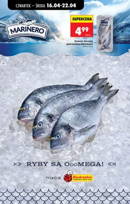 Świeża dorada patroszona promocja w Biedronka