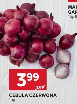Cebula czerwona promocja w Stokrotka