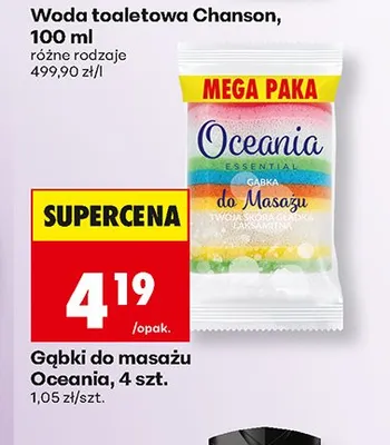 Gąbki do masażu Oceania promocja w Biedronka