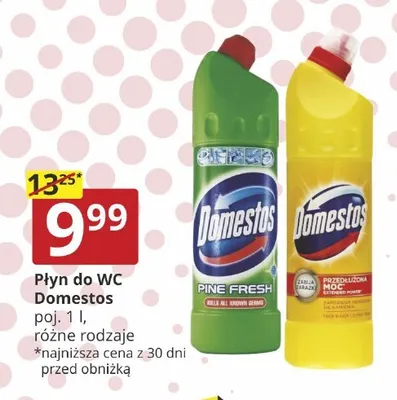 Płyn do WC Domestos promocja w Prymus AGD