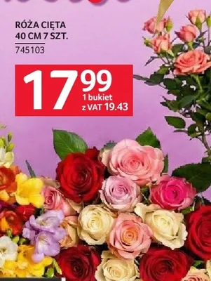 Róża cięta 40 cm 7 szt. promocja w Selgros