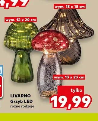Grzyb LED Livarno promocja w Kaufland