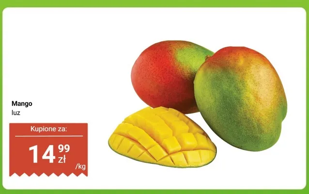 Mango luz promocja w Dino