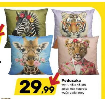 Poduszka 45x45 cm promocja w Bricomarche