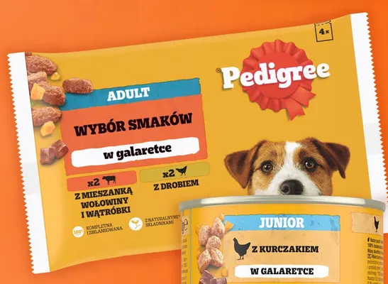 Karma dla psów mokra Pedigree Adult Wybór Smaków w galaretce 4-pak promocja w Intermarche