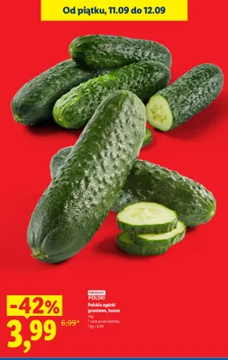 Ogórki gruntowe polskie promocja w Lidl