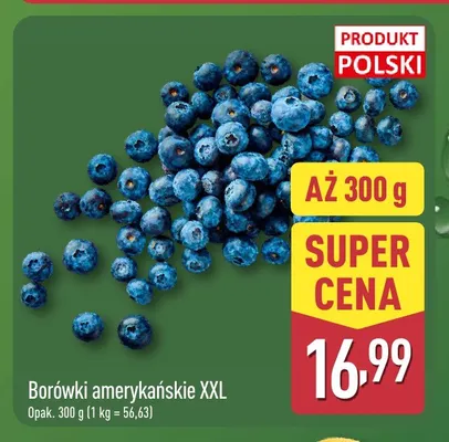 Borówki amerykańskie XXL promocja w Aldi