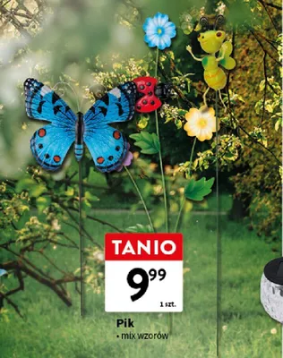 Pik mix wzorów promocja w Intermarche