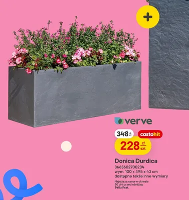 Donica Durdica promocja w Castorama