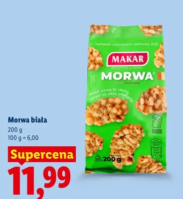Morwa biała Makar promocja w Lidl