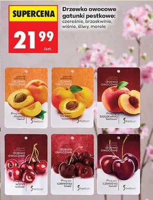 Drzewko owocowe gatunki pestkowe: śliwy promocja w Biedronka