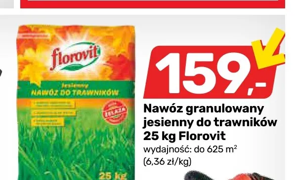Nawóz granulowany jesienny do trawników Florovit promocja w Bricomarche