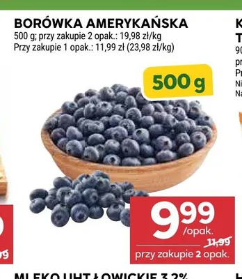Borówka amerykańska promocja w Stokrotka