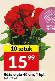 Róża cięta 40cm promocja w Twój Market