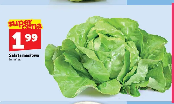 Sałata masłowa promocja w TOPAZ