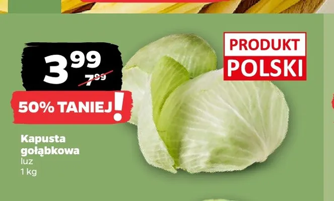 Kapusta gołąbkowa promocja w Netto