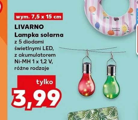 Lampka solarna LIVARNO promocja w Kaufland