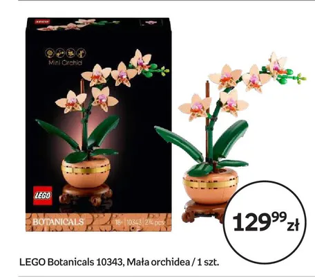 Klocki LEGO Botanicals 10343 Mała orchidea promocja w Empik